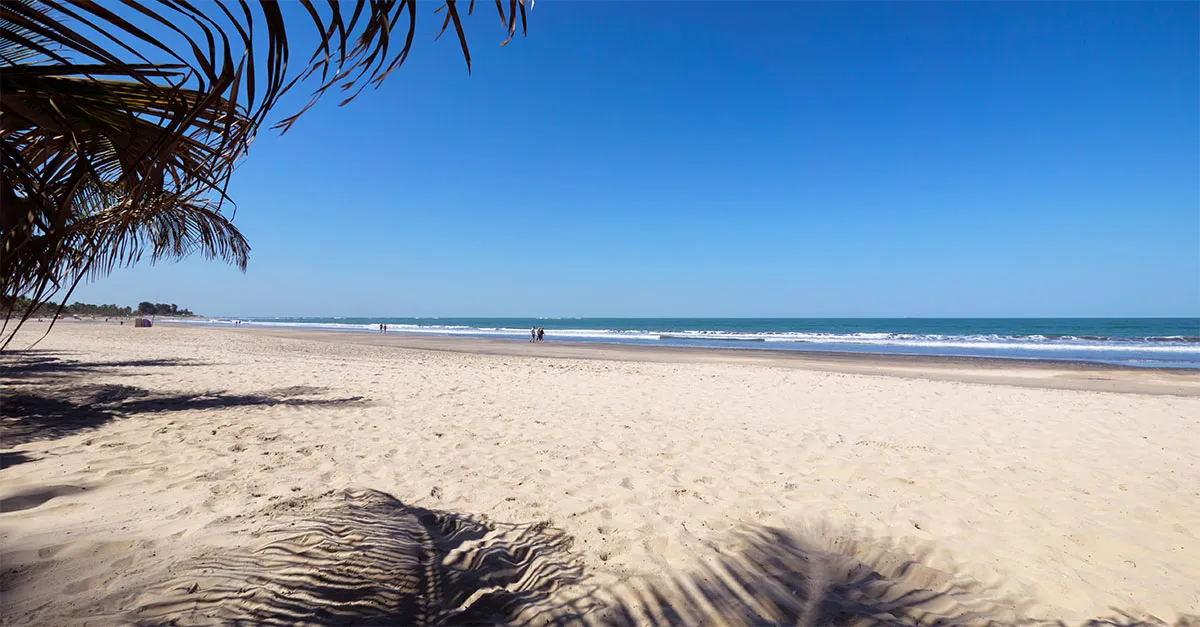Kotu Beach Gambia Experience
