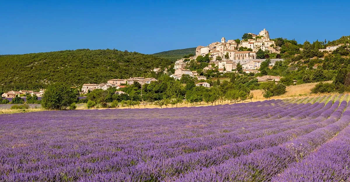 New year, new OTT courses