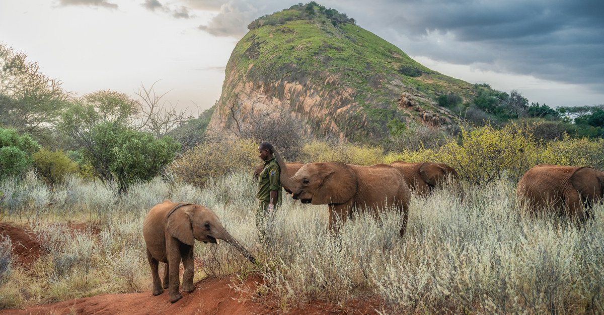 Hope for the herd: A soul-stirring visit to Kenya&rsquo;s Reteti Elephant Sanctuary