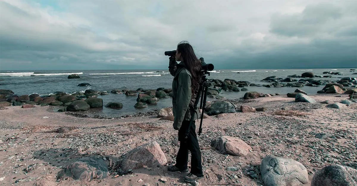 252696 birdwatching CredHans Markus Antson