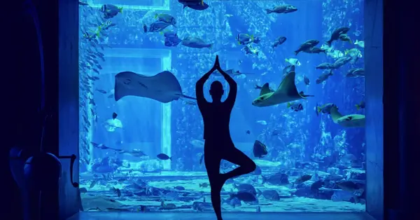 Atlantis Dubai unveils wellness experiences at Lost World Aquarium