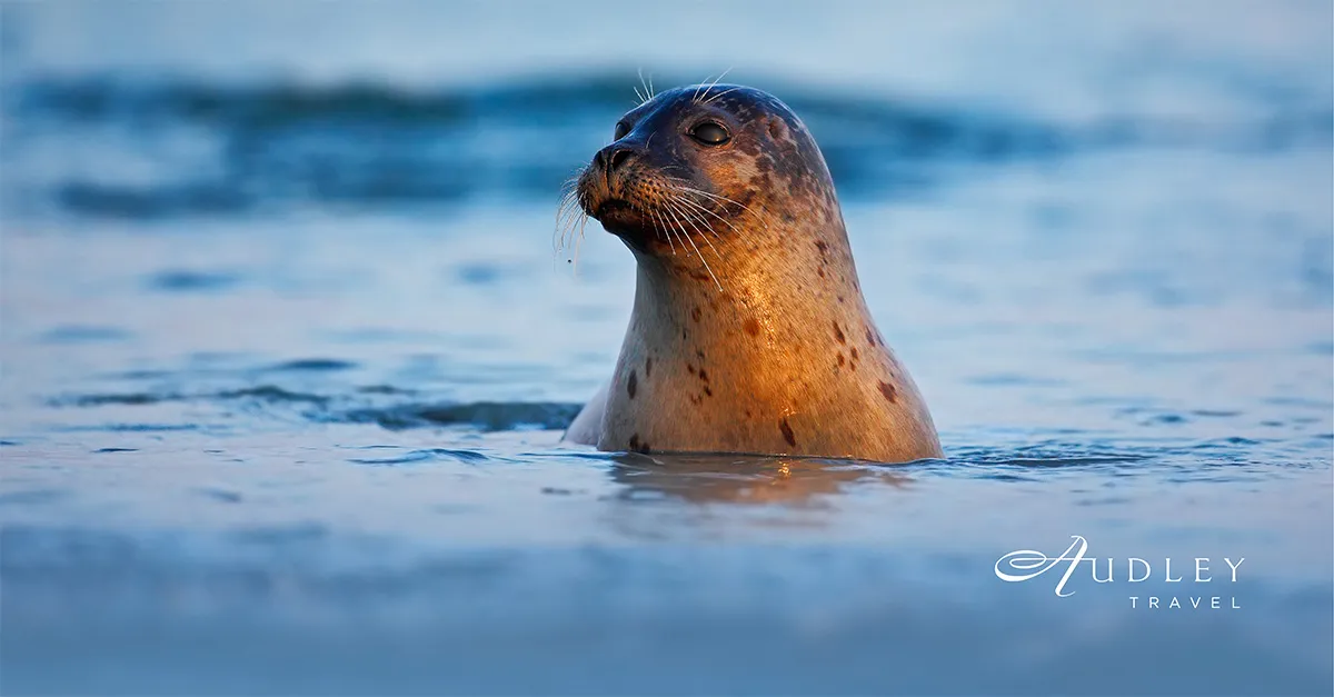 An incentive that gives back