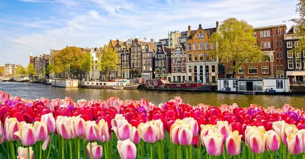 Riviera Travel to host first fam trip for trade marketers