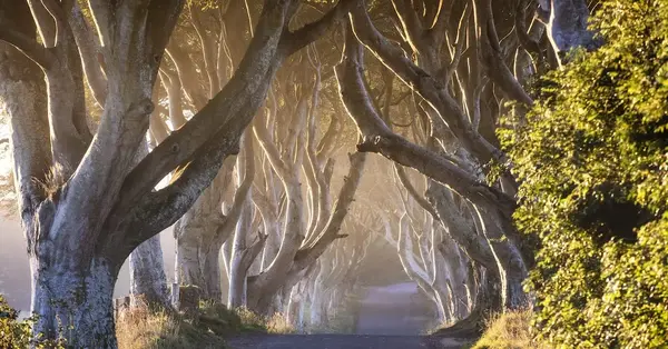 Tourism Ireland joins Atas as UK agents are &lsquo;key priority&rsquo;