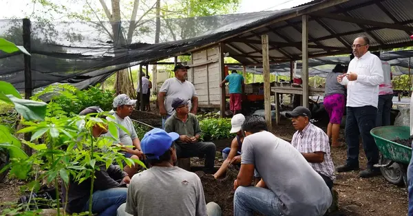 Travelsphere and Just You launch trade-led tree planting project