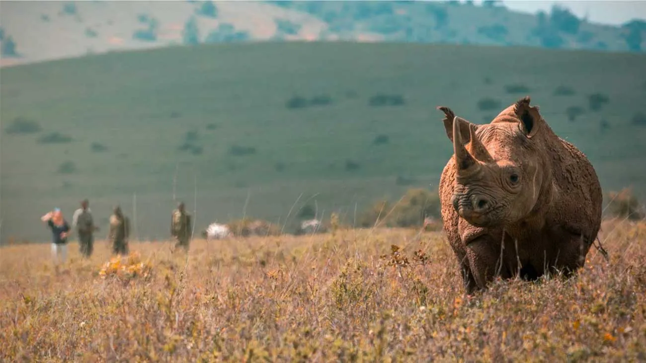 Carrier &lsquo;reaffirms&rsquo; commitment to ethical wildlife experiences