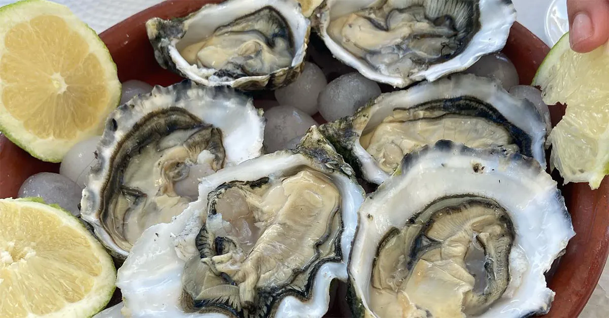 Oysters Experience