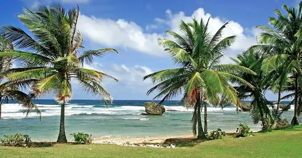 Relax and rejuvenate in Barbados