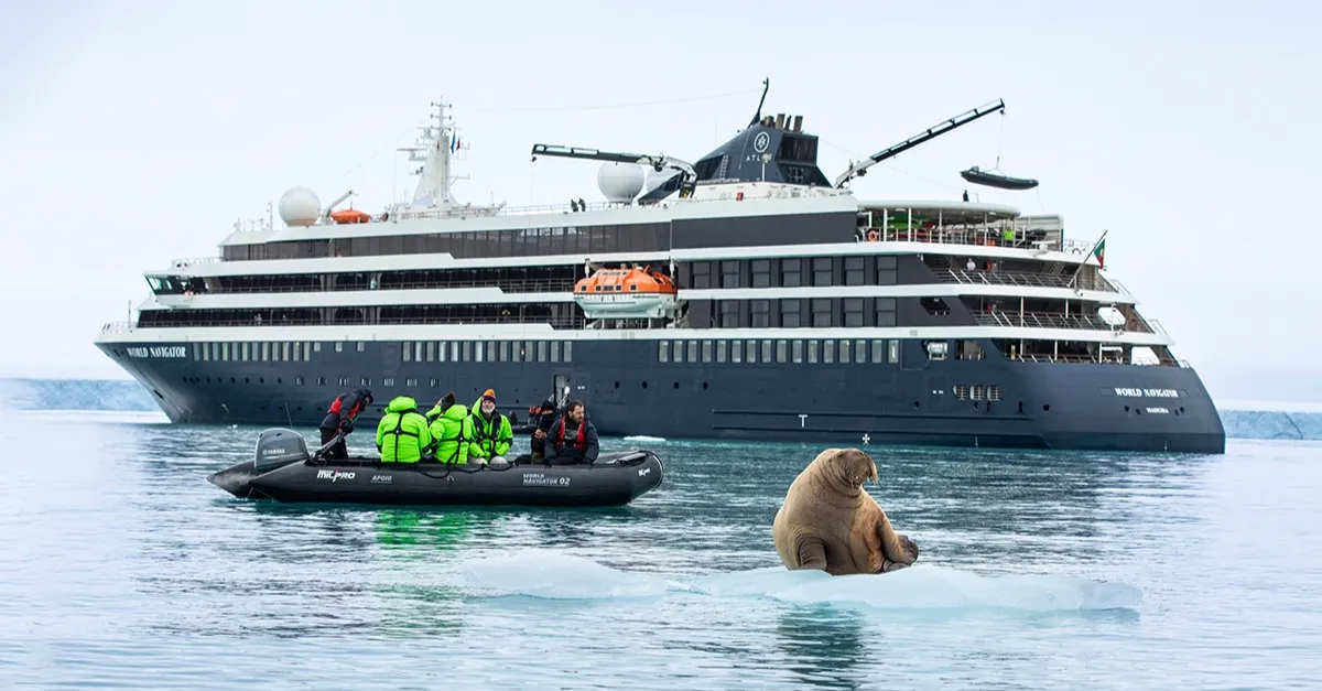 Atlas WNA Arctic Walrus