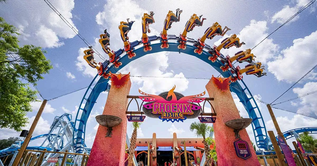Phoenix Rising rollercoaster at Busch Gardens Tampa Bay