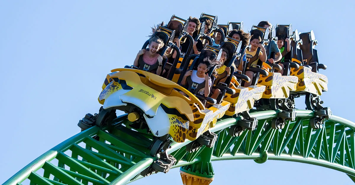 Cheetah Hunt rollercoaster at Busch Gardens Tampa Bay