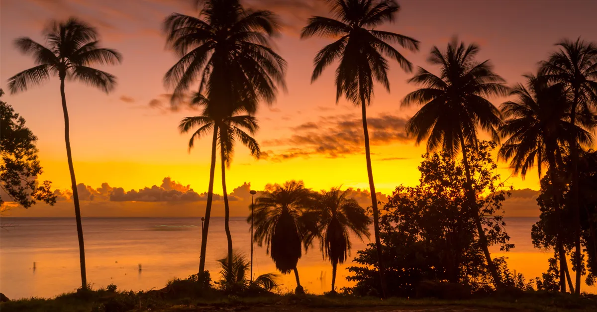 Fan favourite: The enduring appeal of Barbados