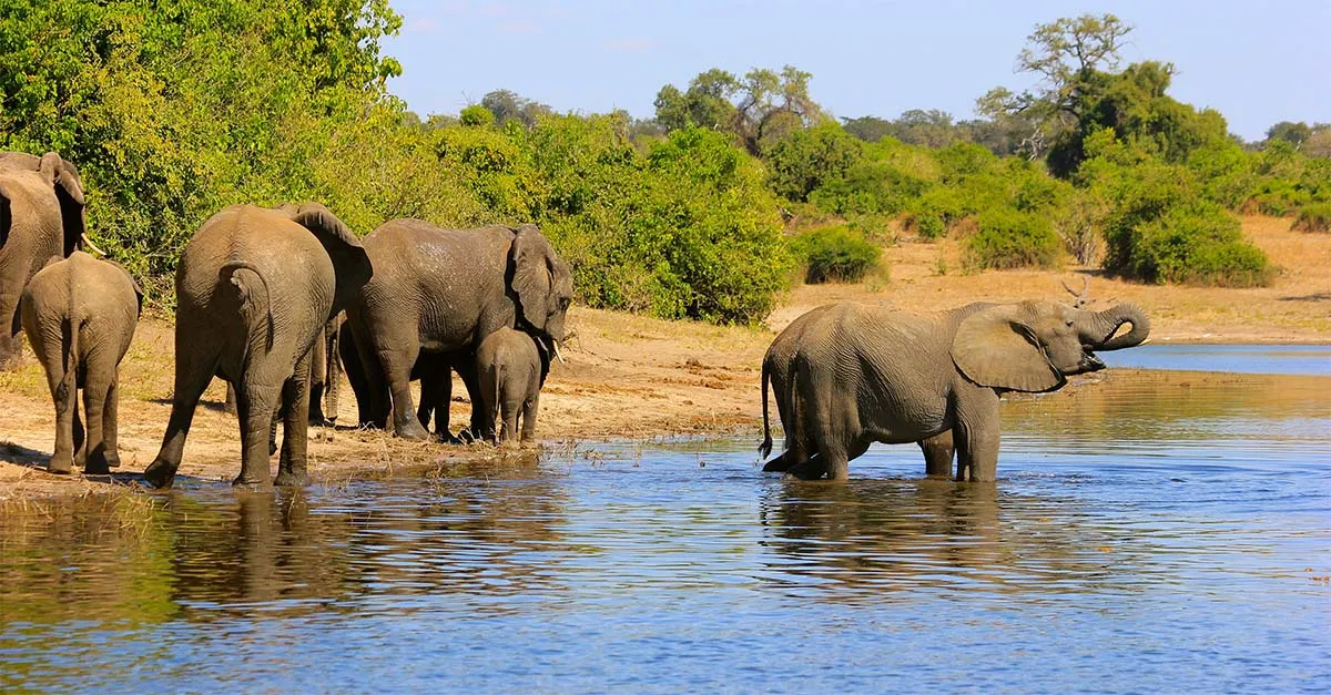 May Lake Kariba credit CroisiEurope