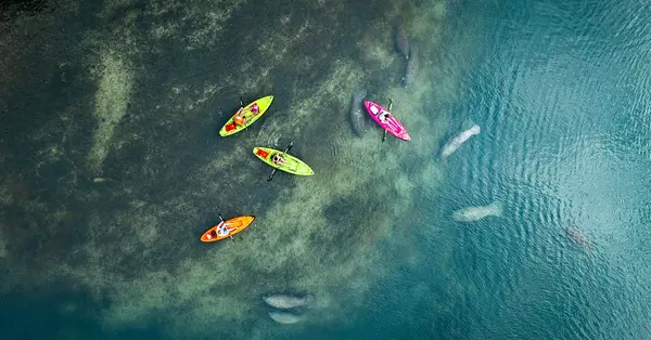 Discover Orlando beyond its theme parks