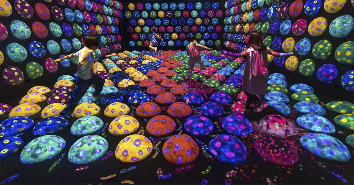 Inside Japan's new teamLab Biovortex Kyoto