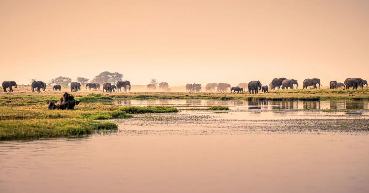 Travelsphere launches four escorted tours for 2027