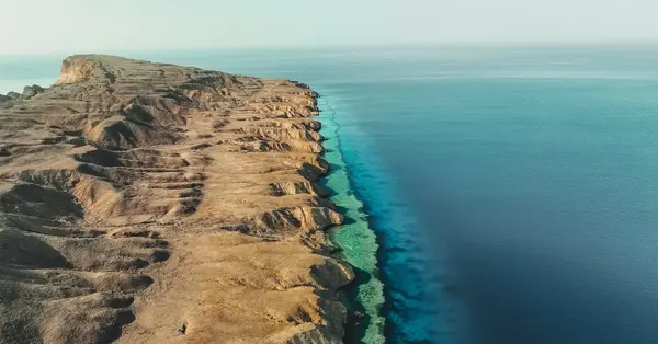 أطلقت شركة فلاي أديل السعودية رحلات جوية بين الرياض ونيوم