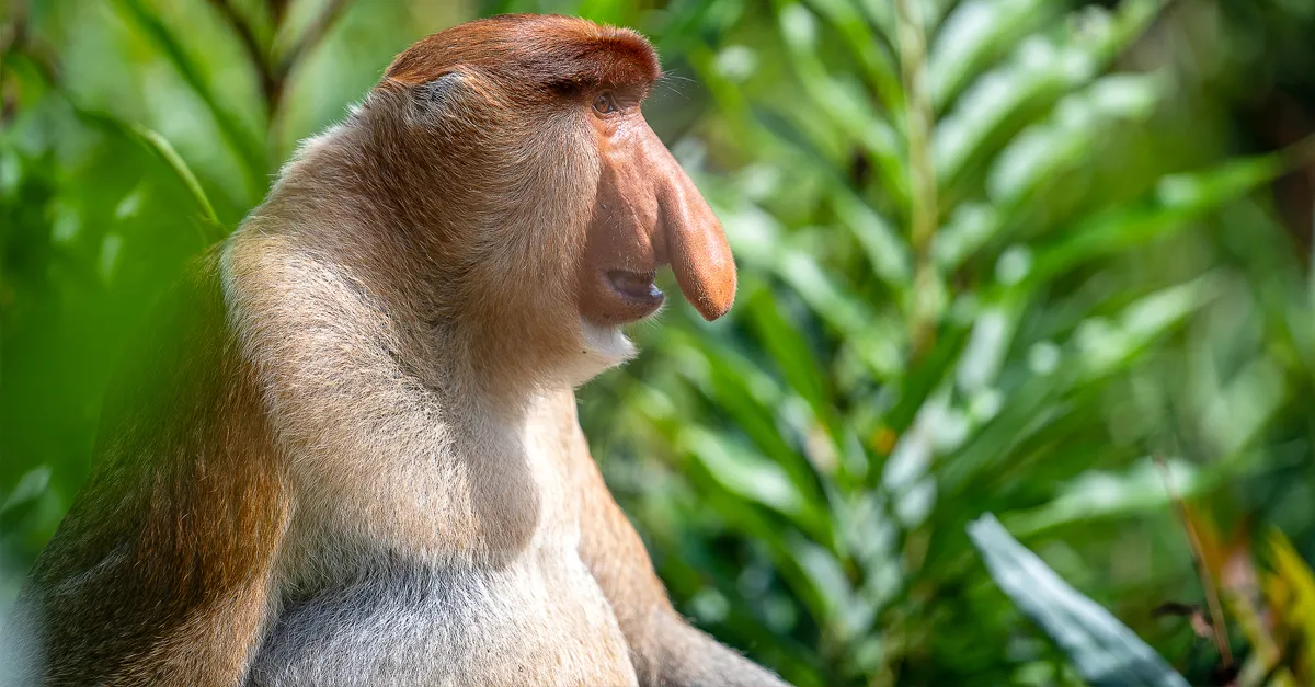 New Asia escorted tours to book for 2026