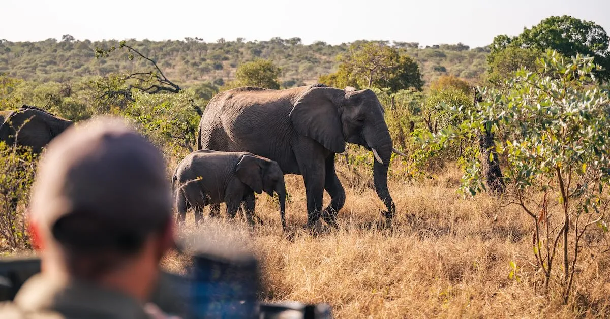 Abercrombie & Kent 2027 年新增 9 个小团旅游