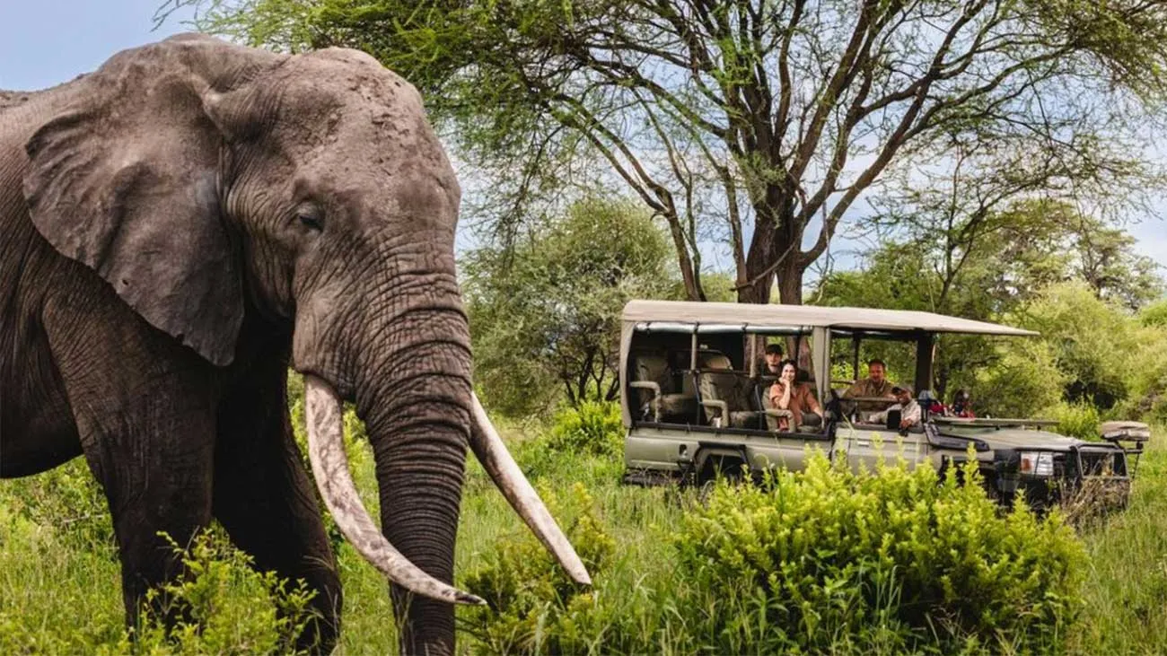 Auberge Collection expands into Africa with launch of safari arm