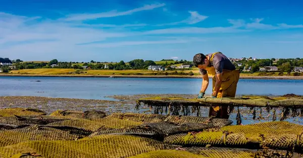 New McKinlay Kidd tours feature chance to meet craftspeople