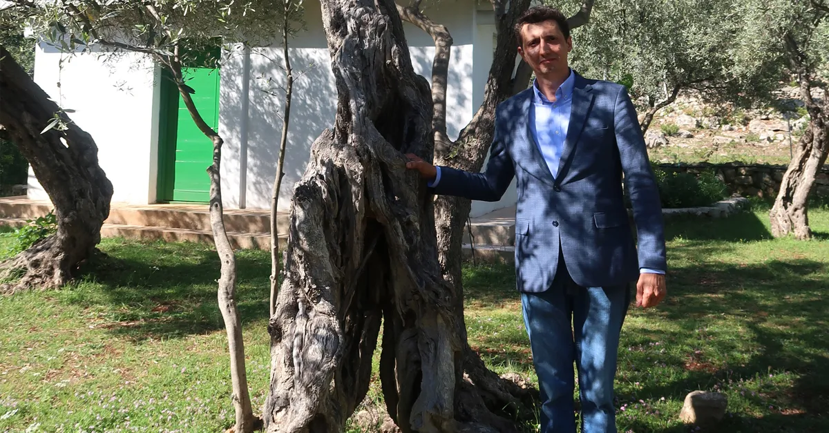 Moric Farm Goran