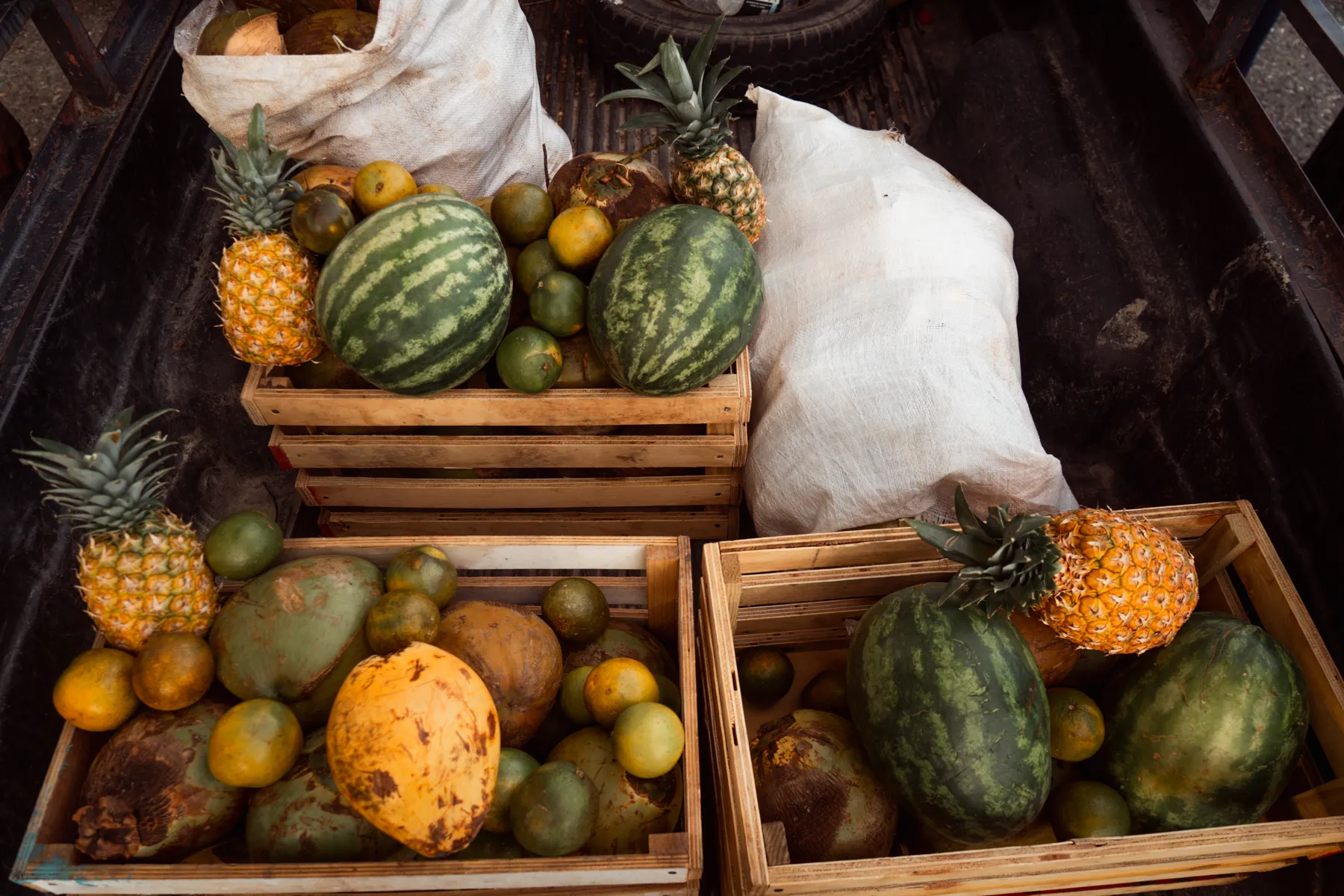 015 JTB Spring 2025 Kingston Fruits Market