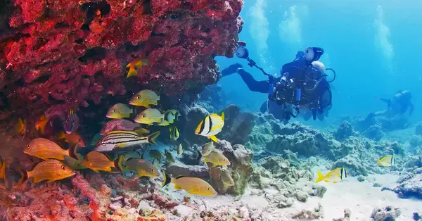 Florida dazzles even beyond its big cities