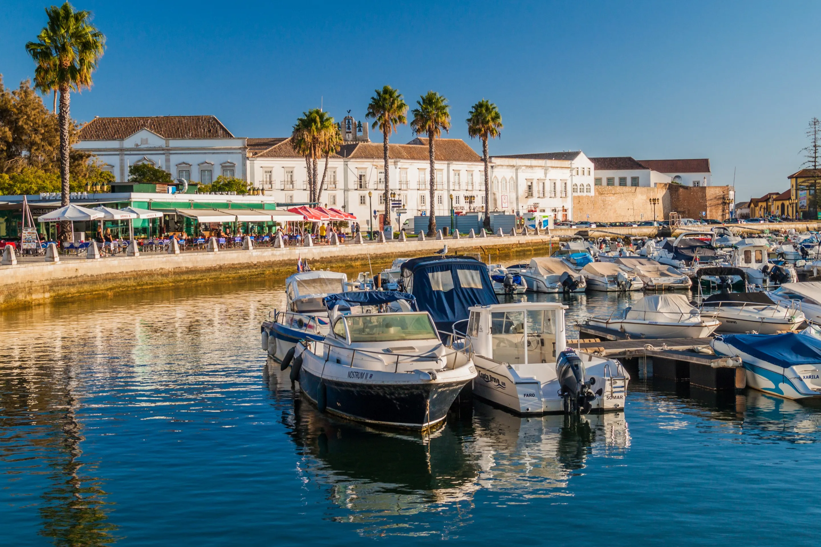Faro