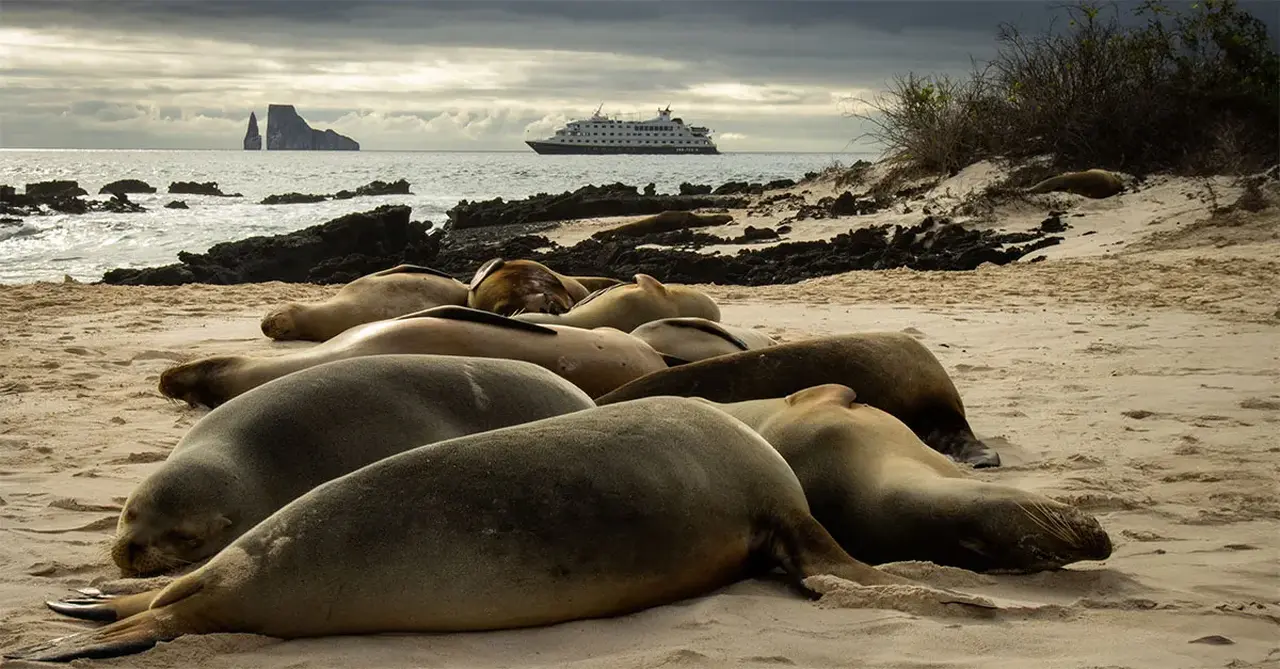 Why the Gal&aacute;pagos Islands should be on every cruiser&rsquo;s bucket list
