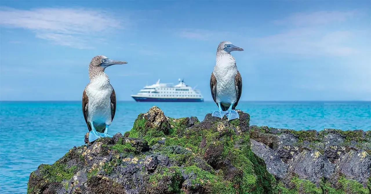 LEX Ecuador Galapagos Islands Ship NG Endeavor II Exterior