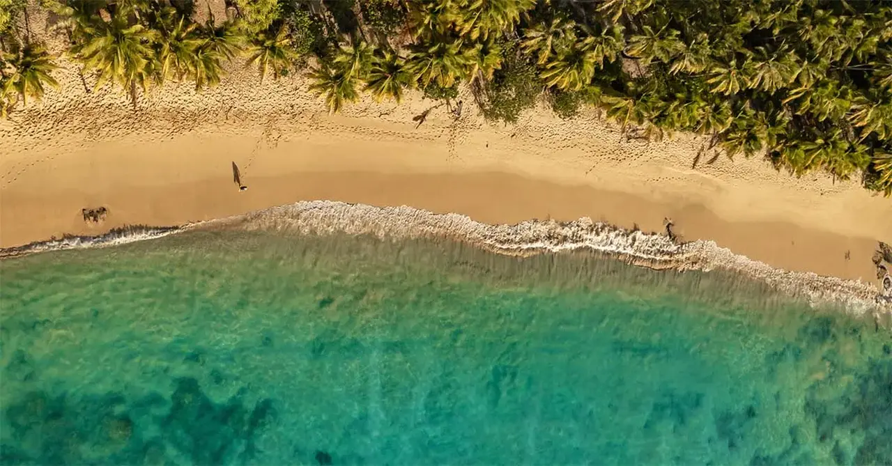 The best shore excursions for warm-water expedition cruises
