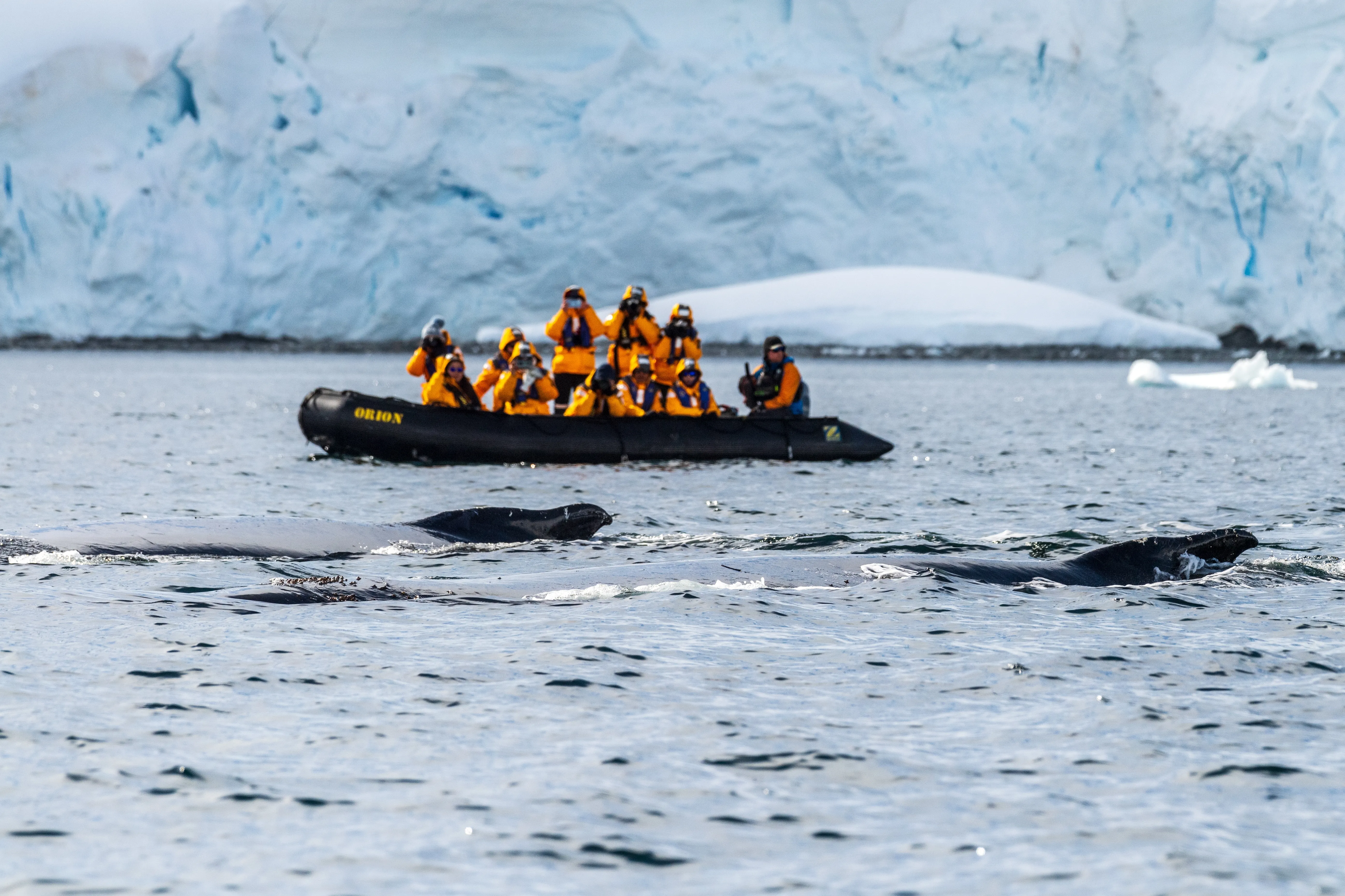 New Research Reveals What&rsquo;s Really Driving Expedition Travel