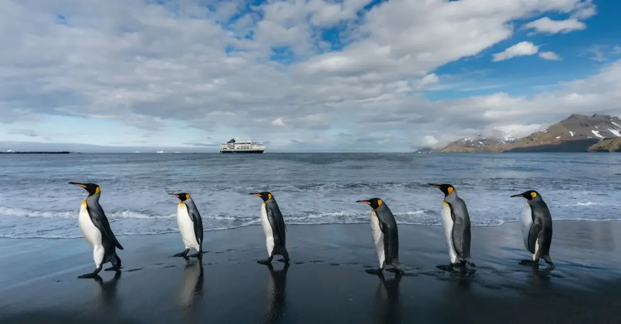 Agent hails Clia Expedition Summit as she lands more than £60k in Antarctica bookings