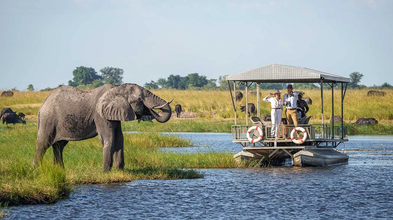 Desert and Delta marketing boss urges agents to &lsquo;change the narrative&rsquo; around safaris