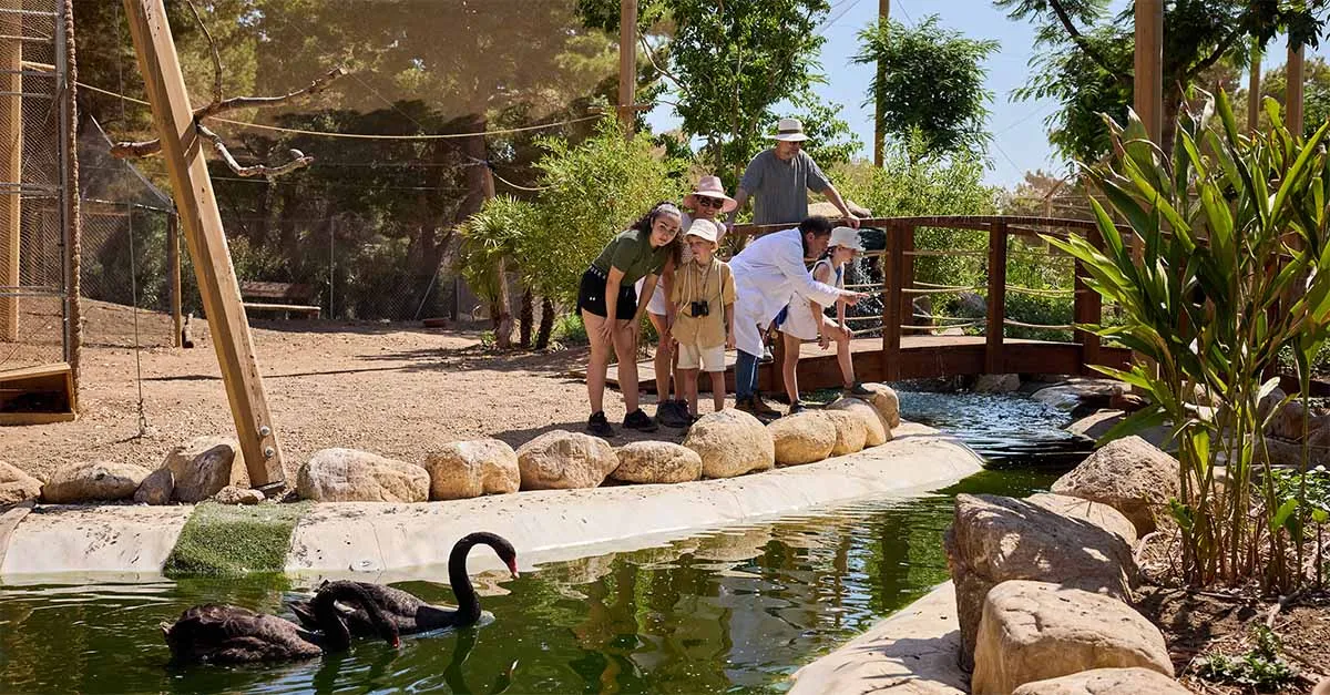 Forte Village Nature Park 2025 3