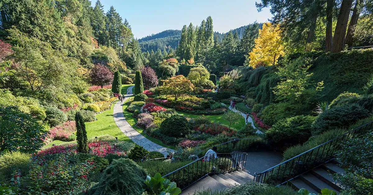 Butchart Gardens1