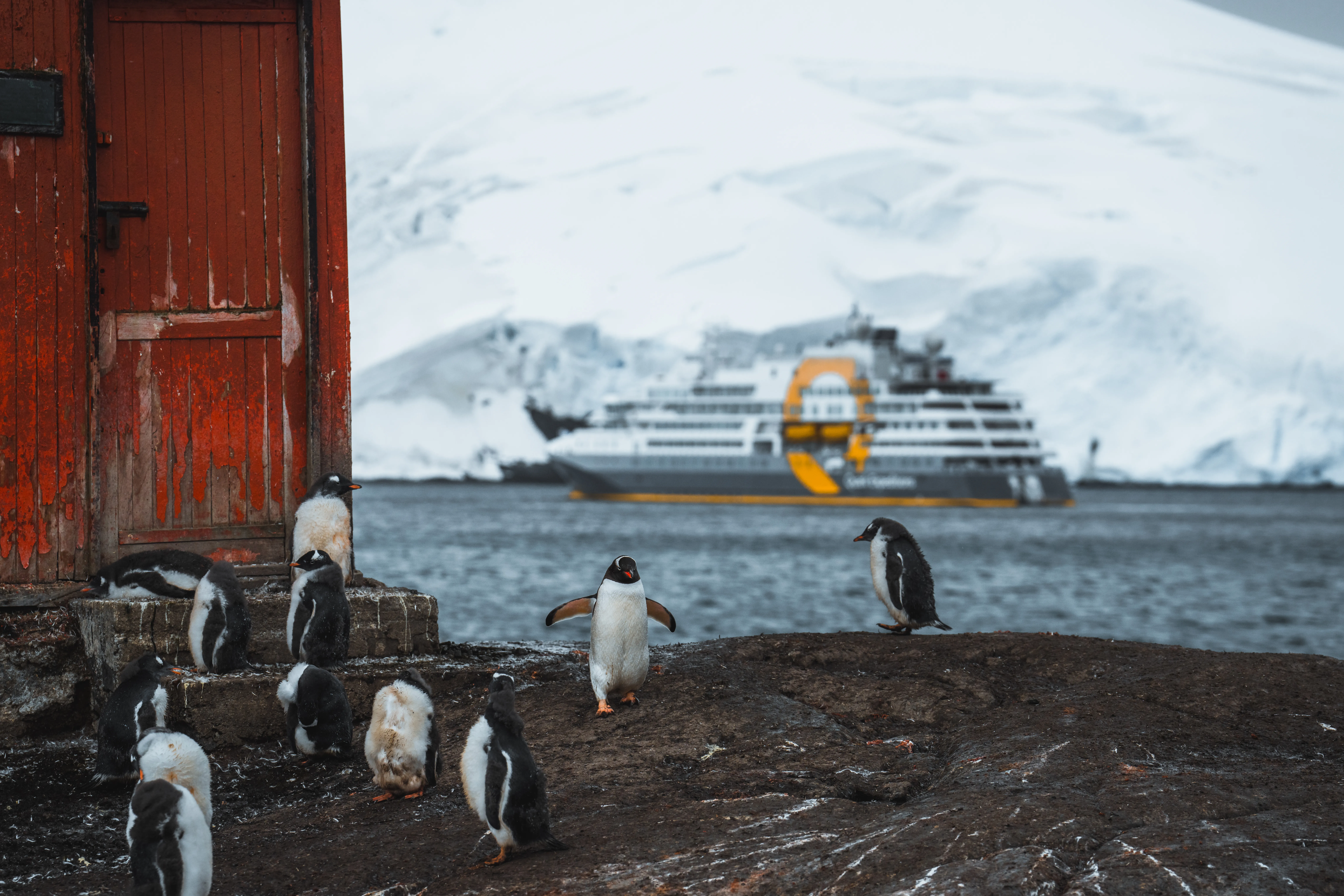 Quark Expeditions: Arctic 2028 and Antarctic 28/29 season is NOW ON SALE!