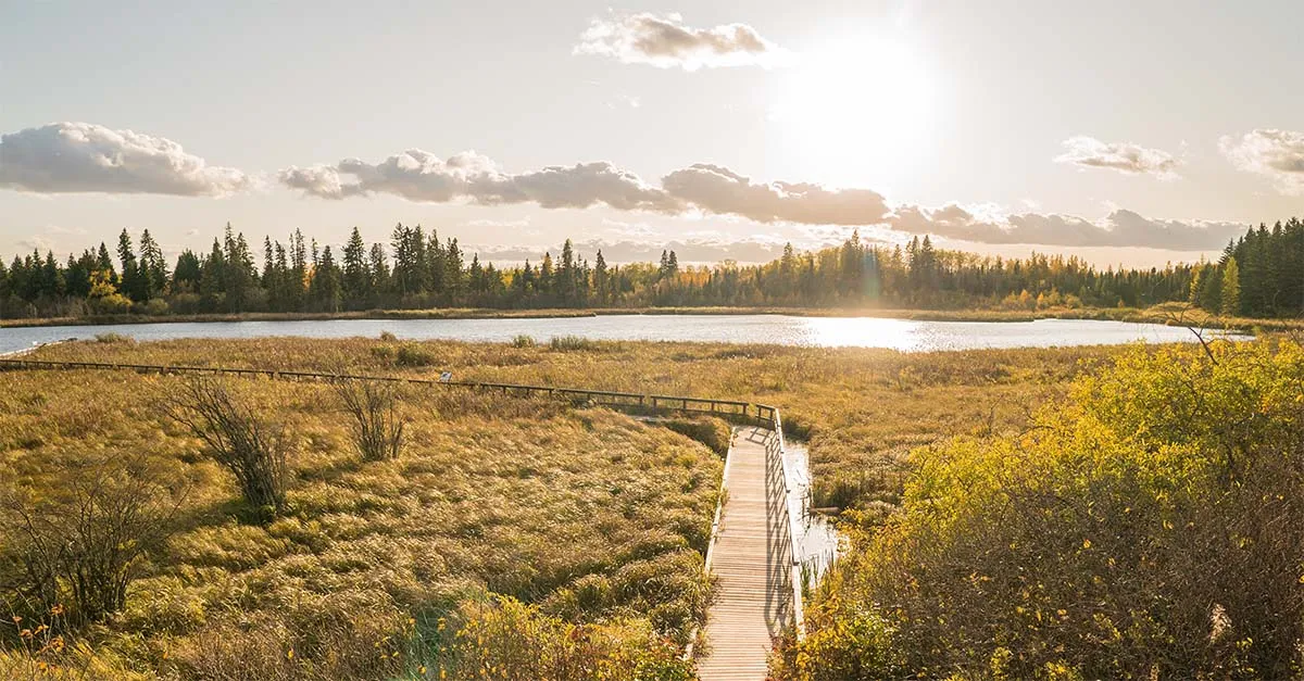 Riding Mountain National Park Fall 04010 Credit Travel Manitoba