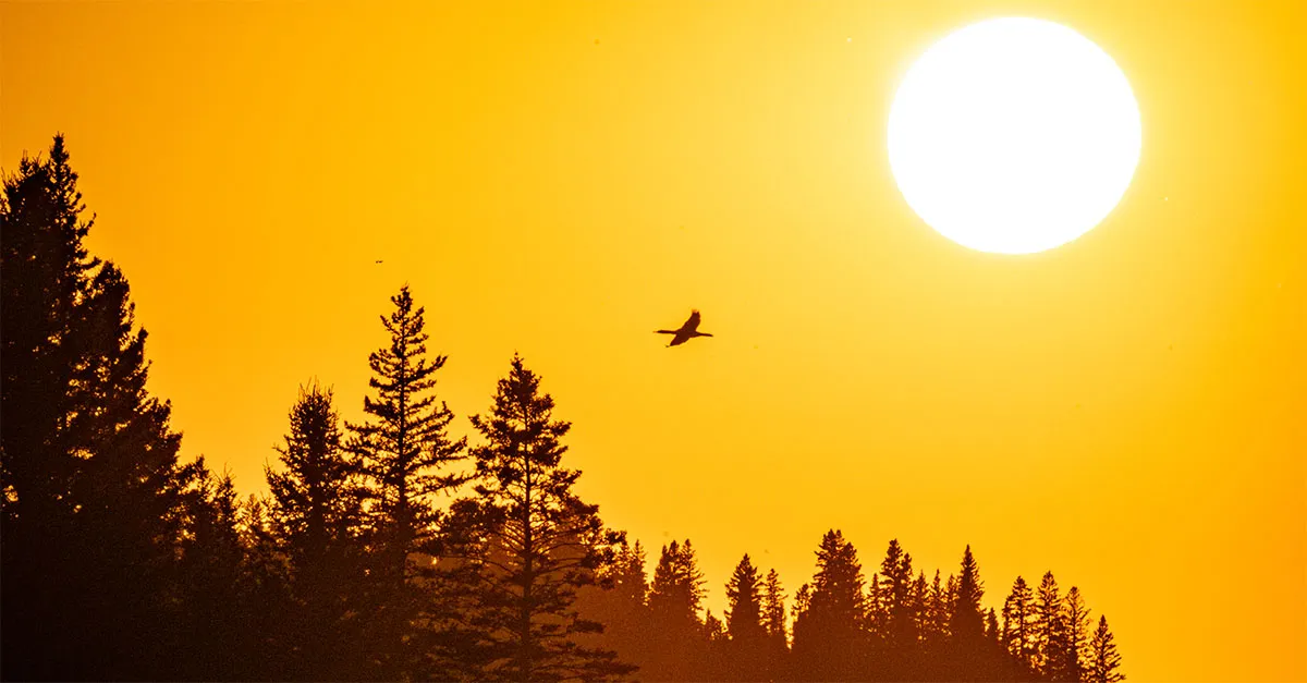 Sunset in Riding Mountain National Park Credit Wibke Helfrich