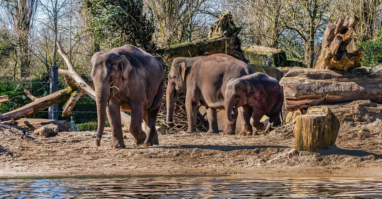 5 of the best family attractions in Amsterdam