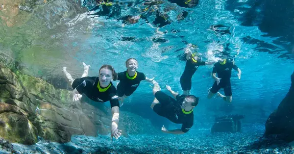 The all-inclusive theme park every Orlando itinerary needs