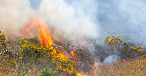 Holidaymakers anxious about Crete wildfires advised not to cancel trips
