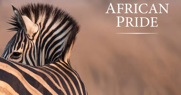 African Pride expands Africa and Indian Ocean programme