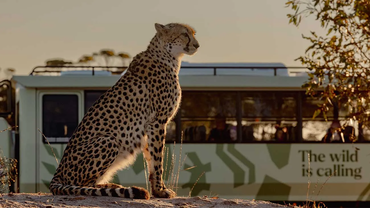 Journey Beyond introduces festive rail-and-safari package