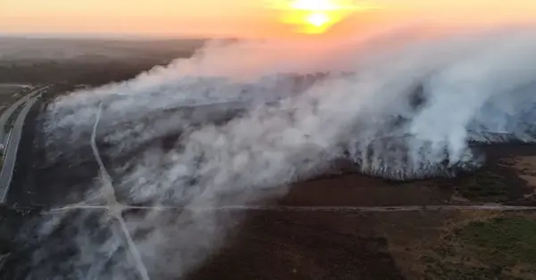 Bournemouth Airport users urged to allow extra time for journeys due to New Forest wildfire