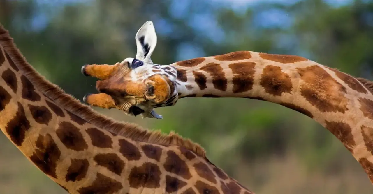 G Adventures unveils flexible booking programme
