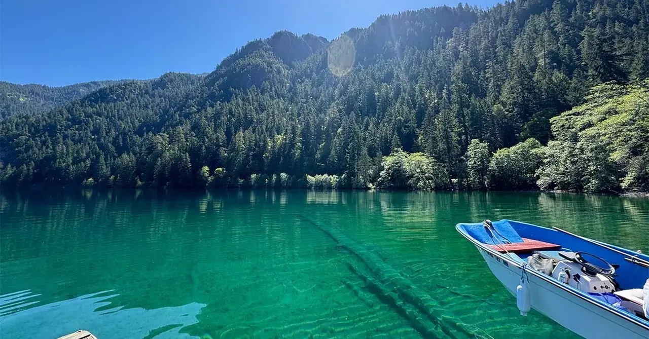 How to visit Olympic National Park on a day trip from Seattle