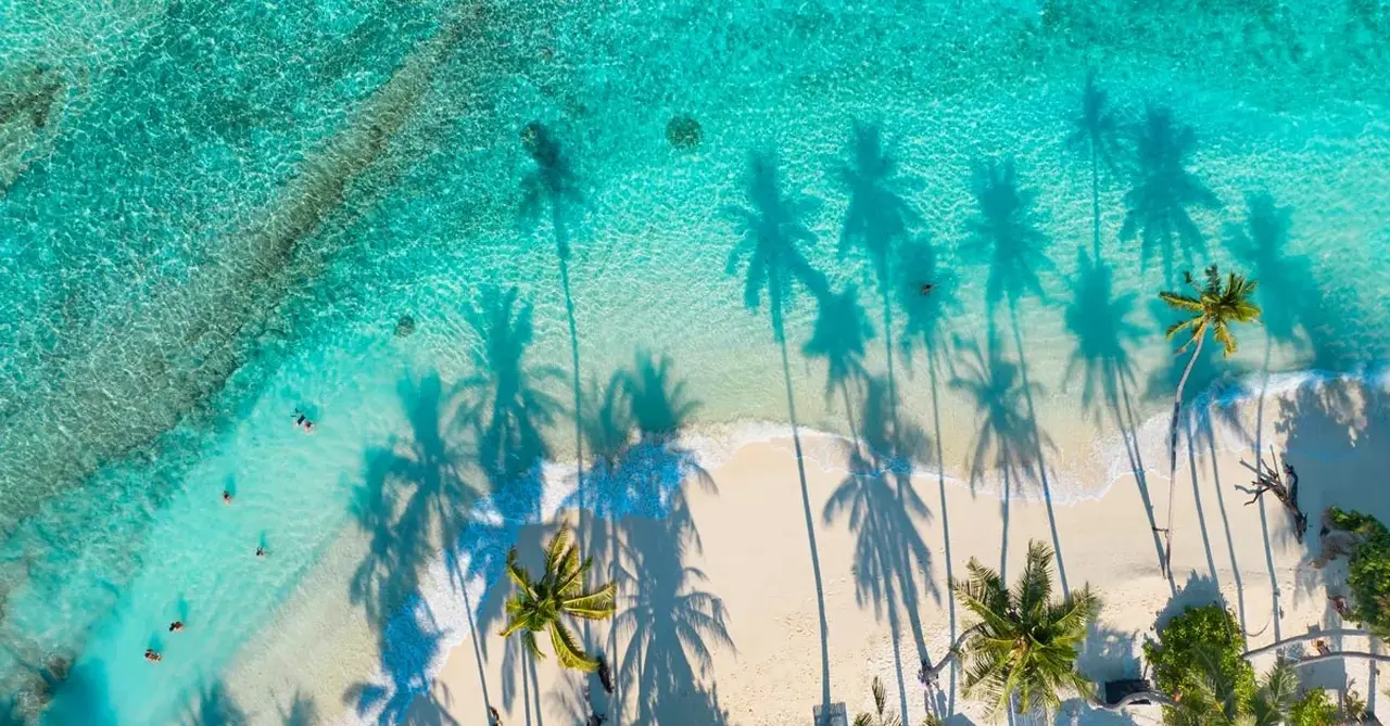 Tour Guide Raining Travel Weekly - Travel Weekly Hub - Are you being recommended by AI ...
