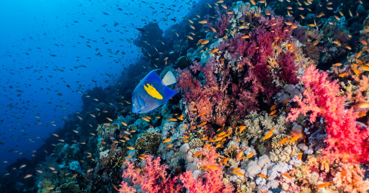 How Saudi Arabia is set to become the next big tourist destination